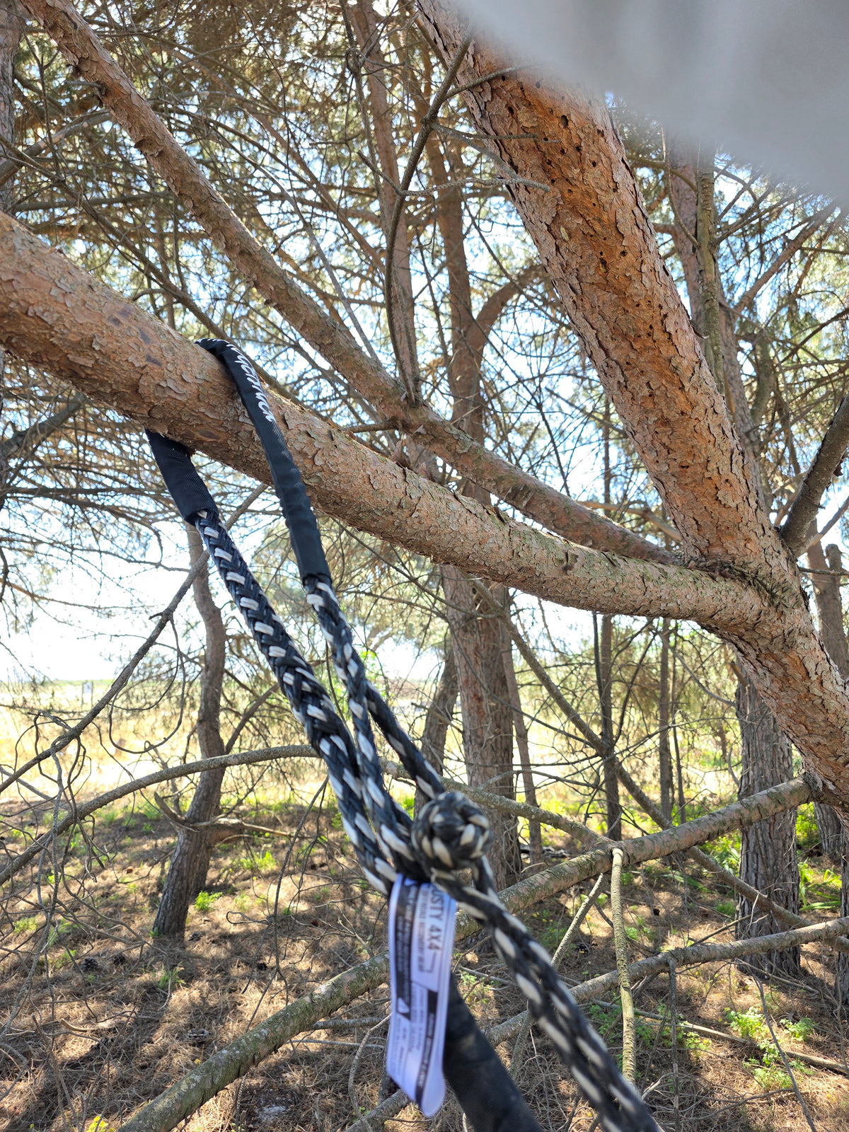 Mini winching bridle wrapped around tree branch, with braided loop sling